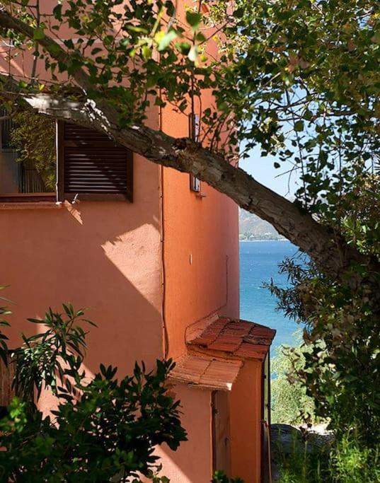 Casa Marine Du Soleil 60 Lejlighed Patrimonio Eksteriør billede